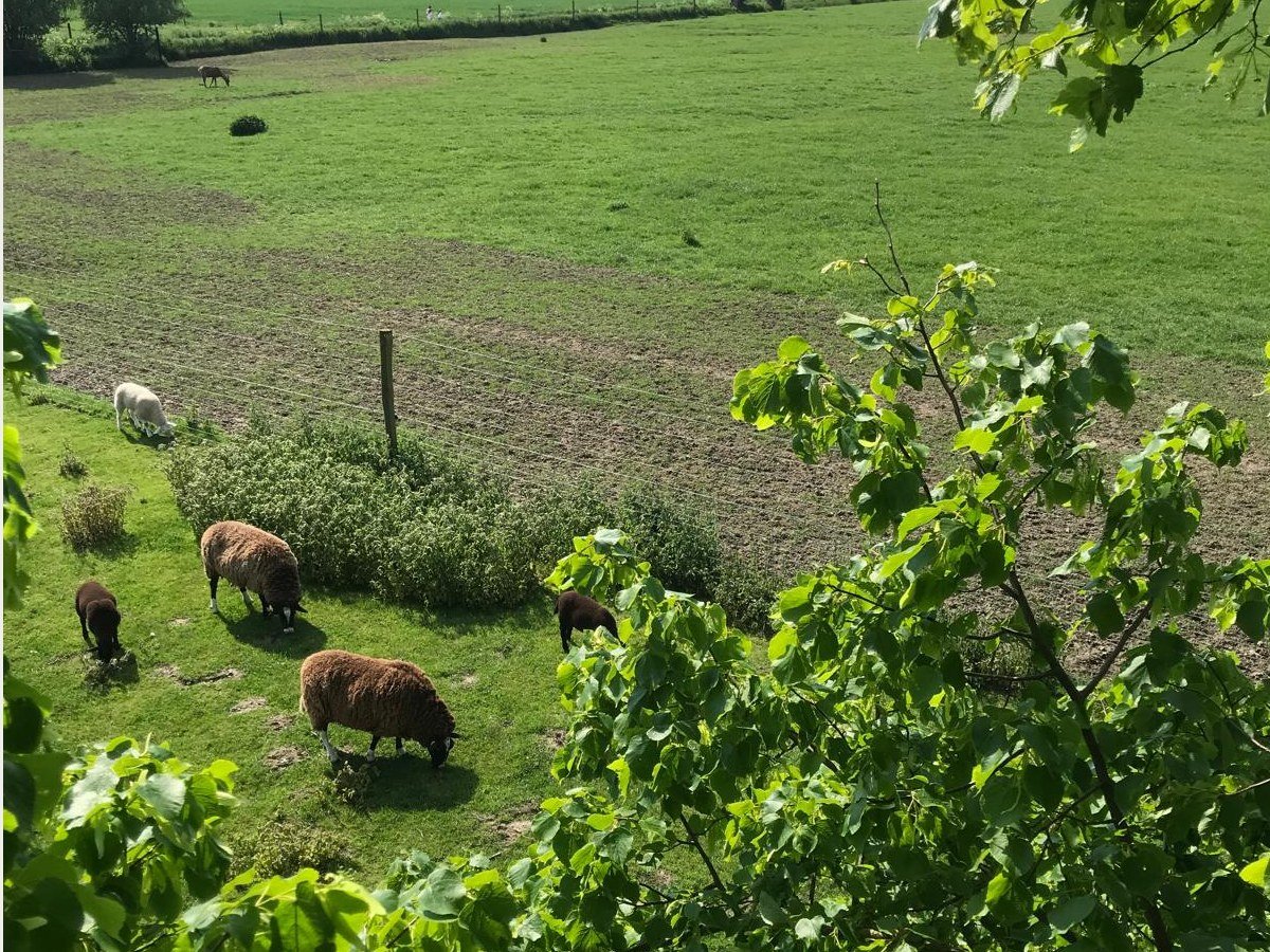 De boerderij
