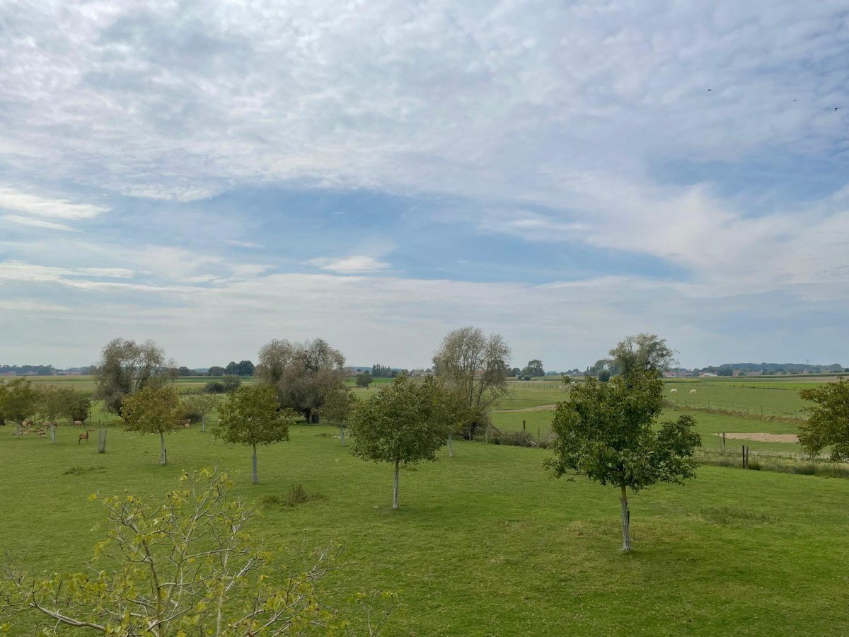 De boerderij